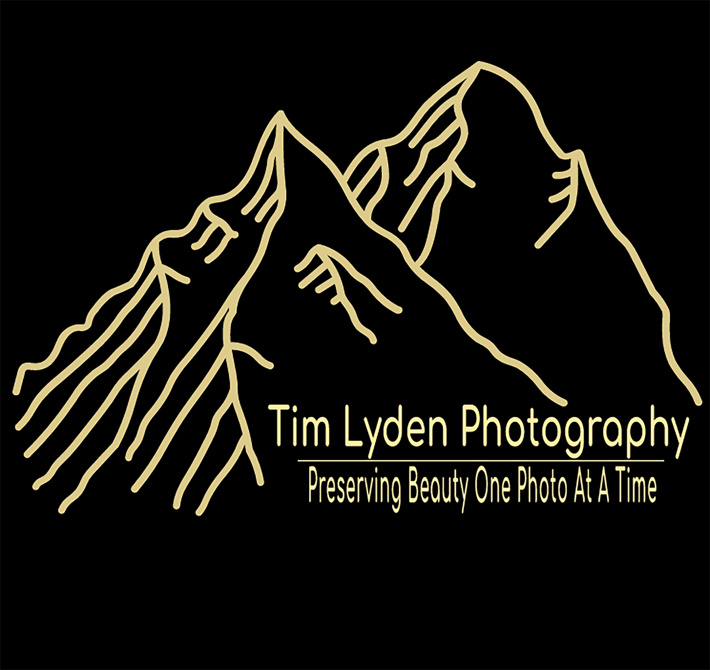 Tim Lyden - Artist Website