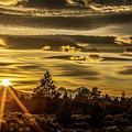 Southern Exposure