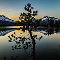 Tranquil Times